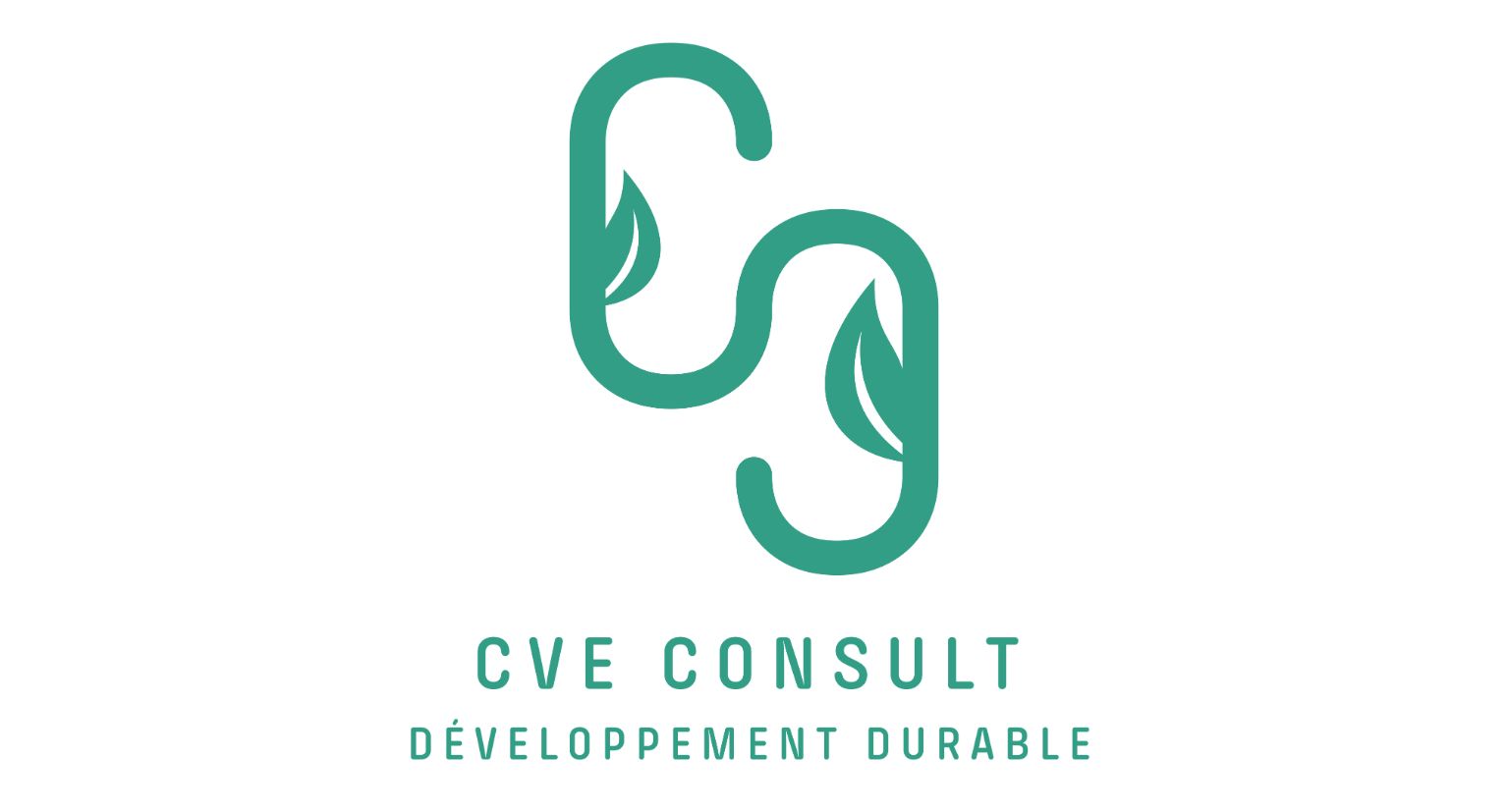 CVE Consult